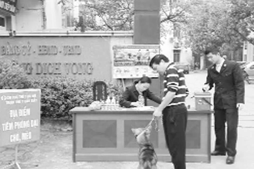 Không hỗ trợ phí tiêm phòng dại cho chó, mèo ở nội thành 