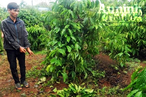 Bắt giữ đối tượng khống chế chị dâu giở trò đồi bại