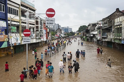 [Ảnh] Các thành phố lớn ứng phó với cảnh "sắp chìm" thế nào?