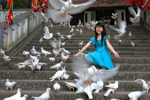 Lễ hội tôn vinh hòa bình