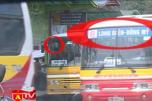 Xử lý nghiêm xe bus nhái, xe khách trá hình