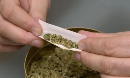 Hút cần sa làm tăng nguy cơ ung thư tinh hoàn