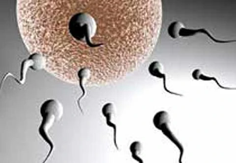 Phát hiện gen mới giúp tạo ra thuốc tránh thai cho nam giới