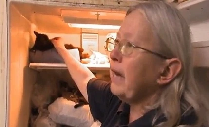 Người phụ nữ lưu giữ cả 100 xác mèo trong tủ lạnh