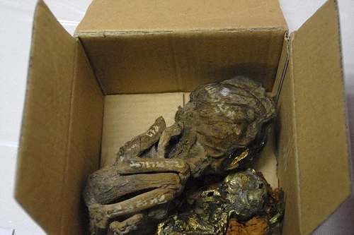 Kinh hoàng vụ buôn lậu thi thể trẻ em