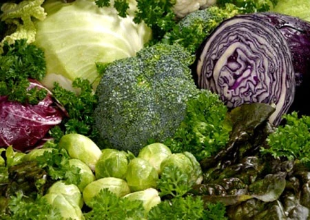 Súp lơ, cải bắp chống ung thư thư vú