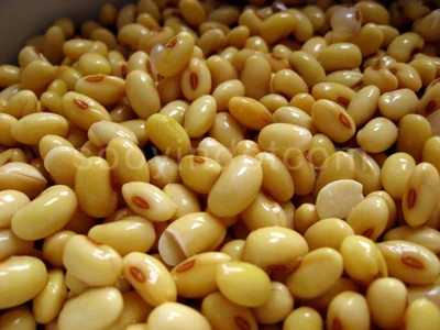 Đậu nành chứa chất chống ung thư quan trọng