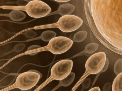 Chất lượng “tinh binh” phản ánh chế độ ăn