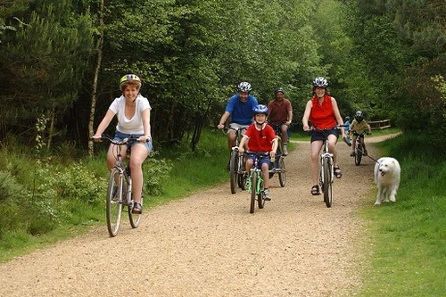 Hoạt động thể chất giúp đẩy lùi stress