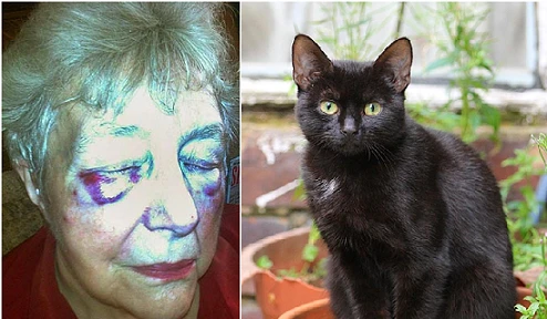 Cụ bà 80 tuổi suýt mù mắt vì...mèo cào