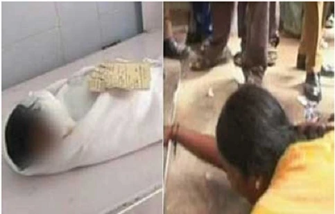 Kinh hoàng chuột gặm thi thể… bé sơ sinh