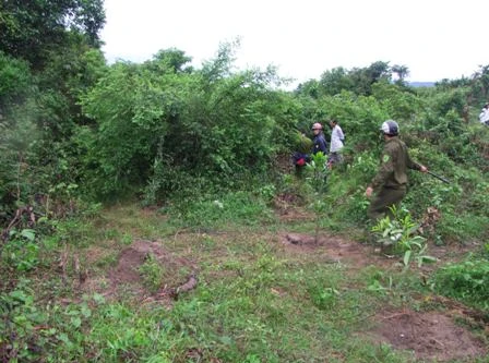 Vợ bị sát hại, chồng khóc thương khiến mắt có nguy cơ mù loà