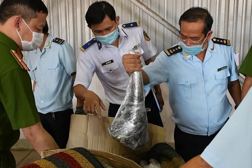 13 năm tù cho đối tượng vụ vận chuyển trái phép gần 10 tấn động vật hoang dã về Việt Nam