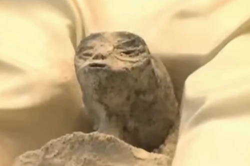 Mexico mở phiên điều trần về hài cốt 1.000 năm tuổi nghi ‘người ngoài hành tinh’