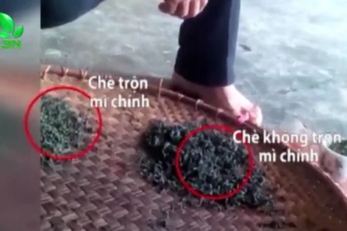 Rùng mình công nghệ trộn mì chính tạo độ ngọt cho chè búp Thái Nguyên