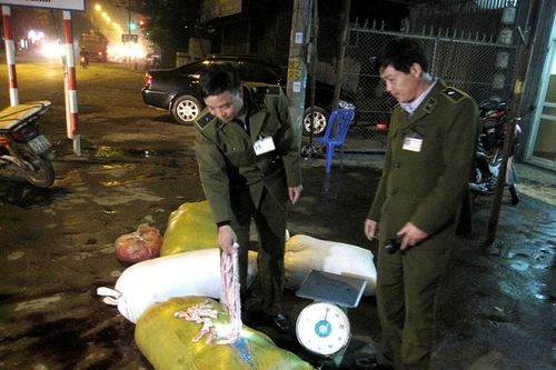 Nội tạng động vật được vận chuyển bằng xe khách chất lượng cao