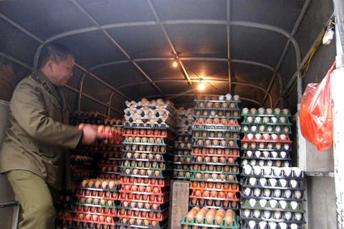 Hơn 2 vạn trứng gà hết hạn kiểm dịch vẫn mang đi tiêu thụ