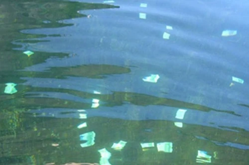 Hơn 100.000 euro trôi nổi trên sông