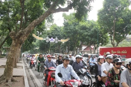 Thay thế đồng bộ cây xanh: “Tôi tin, Hà Nội làm đúng”
