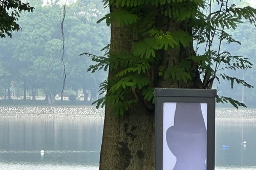 Cần xử lý nghiêm đối tượng đập phá cột đèn tại Công viên Thống Nhất