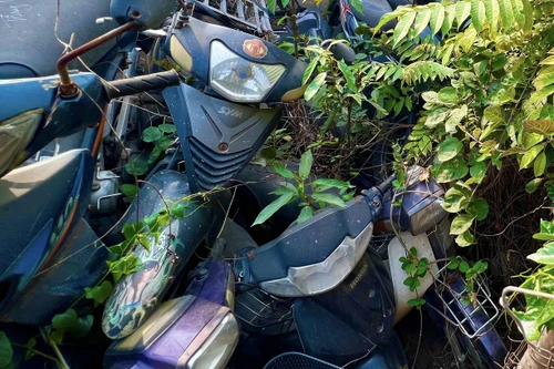 Tìm chủ sở hữu xe máy