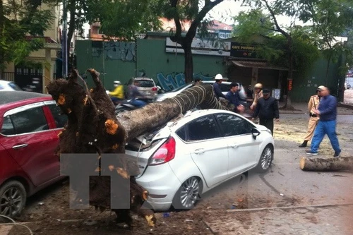 Cây cổ thụ gãy đổ đè bẹp rúm ôtô trên phố Lý Thường Kiệt