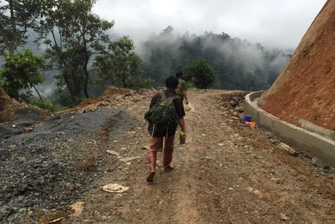 Phu vàng náo loạn trốn khỏi "thung lũng chết" Mà Sa Phìn