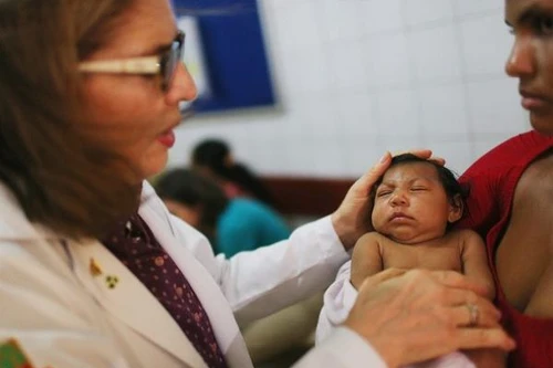 Một phụ nữ Việt Nam được phát hiện nhiễm virus Zika tại Nhật Bản