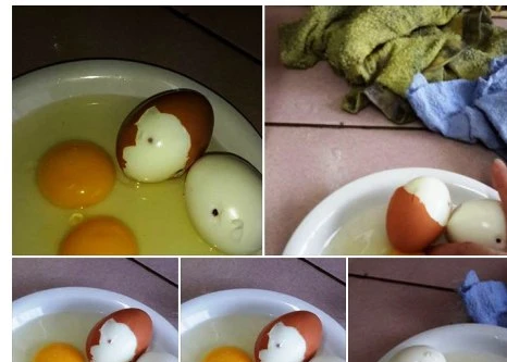 Không thể có chuyện trứng gà bị tiêm máu nhiễm HIV