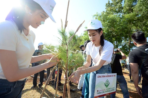 [ẢNH] Dàn Hoa hậu, người đẹp Việt Nam hào hứng trồng cây xanh ở Tây Nguyên