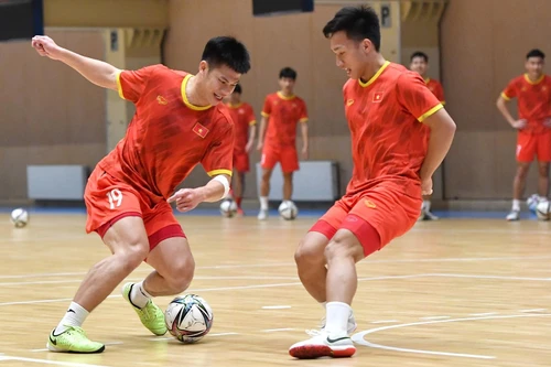 Ông 'bầu' Trần Anh Tú: Futsal Việt Nam muốn tái lập kỳ tích World Cup