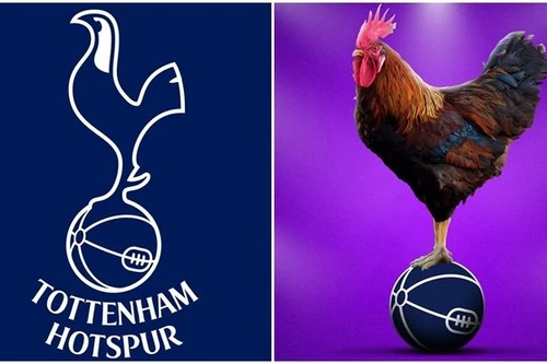 [ẢNH] Logo các đội bóng dưới lăng kính thế giới động vật