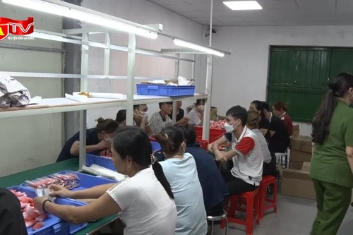 Đột kích "tổng kho" thuốc lá điện tử lớn nhất từ trước đến nay 