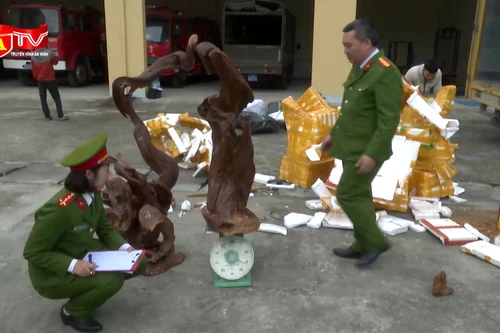 Dùng xe thư báo để lén lút vận chuyển trái phép gỗ quý 