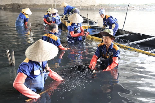 Công nhân dầm mình dưới bùn làm sạch sông Tô Lịch
