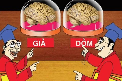 Cán bộ lại lộ bằng giả 