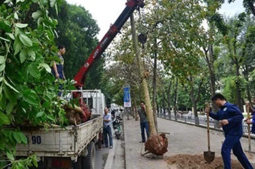 Sở Xây dựng Hà Nội đình chỉ công tác 3 cán bộ