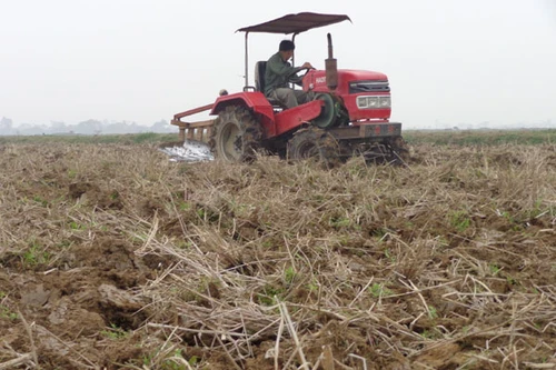 Nhập khẩu đất: Tránh để lại hậu quả 