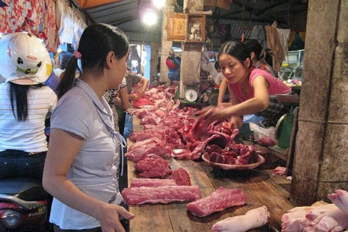 Quản lý chất độc gây ung thư salbutamol: Bộ, ngành "đá" nhau, người dân lãnh đủ