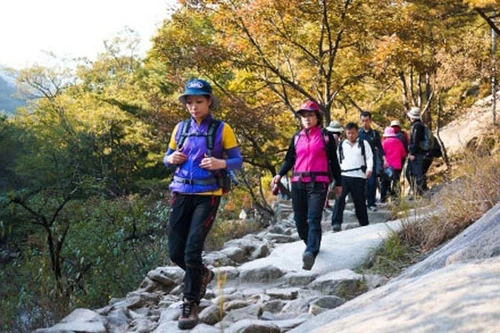 Bảo hiểm du lịch: Không thể coi nhẹ