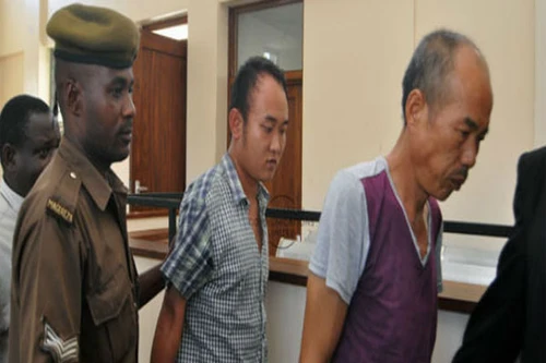 2 người Trung Quốc bị phạt 46 triệu USD vì săn trộm ngà voi 