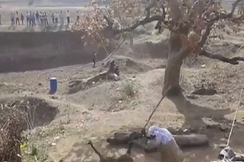 Xem người đàn ông đánh đuổi báo hoang bằng một cây gậy