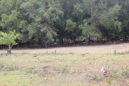 Triệt xóa sòng bạc "khủng" nằm sâu trong rừng