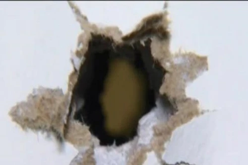 Hai mẹ con thoát chết khi hàng xóm vô tình bắn súng vào nhà