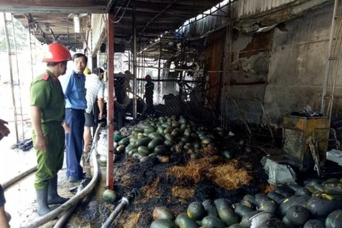 Quán cà phê và ki-ốt hoa quả cùng phát hỏa giữa trưa