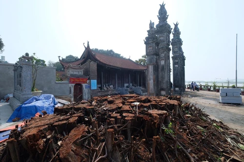 Sở Văn hóa Thể thao Hà Nội kiểm tra “nóng” việc tu sửa đình Chèm