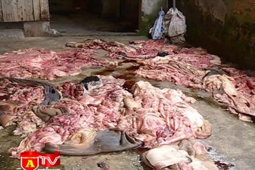 Bất ngờ với cơ sở thu mua mỡ, da động vật