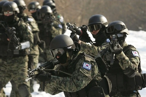 Hàn Quốc lập đơn vị đặc nhiệm, chuyên tấn công mục tiêu chiến lược Triều Tiên