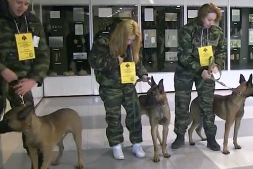 Cảnh sát Nga tiếp nhận chó nghiệp vụ nhân bản vô tính