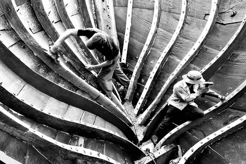 “Đại dương vẫy gọi” đoạt HCV